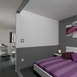 Apartment Tudor